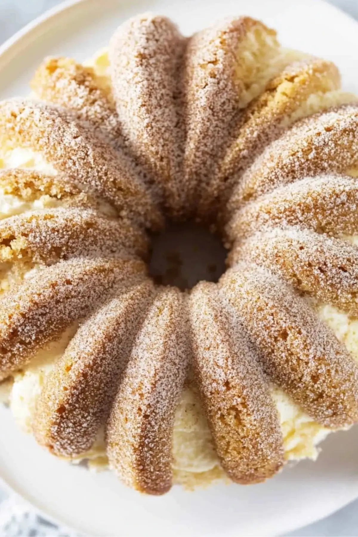 Snickerdoodle Bundt Cake Snickerdoodle Bundt Cake