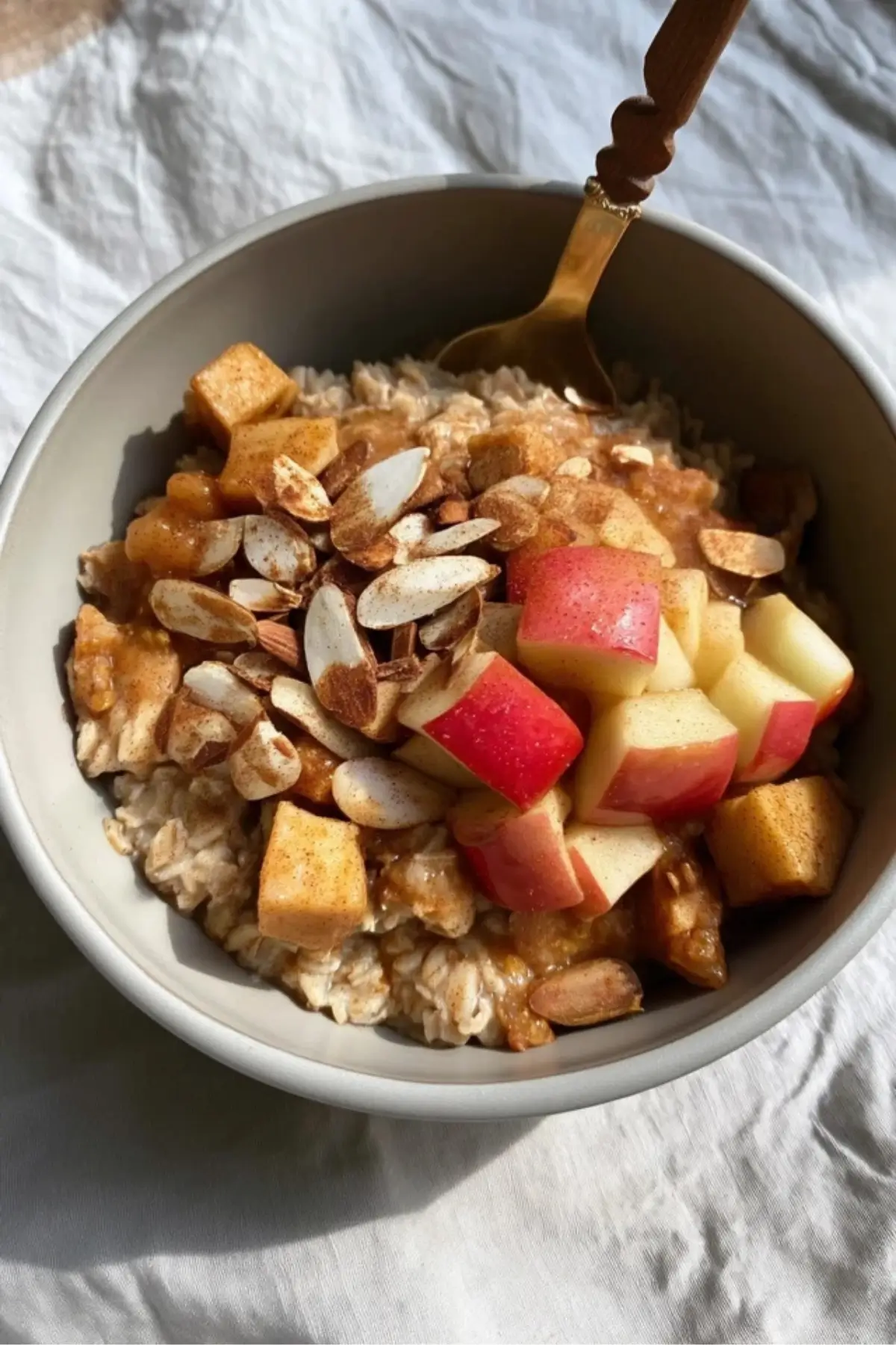 Cozy Cinnamon Apple Oatmeal Bowl Cozy Cinnamon Apple Oatmeal Bowl