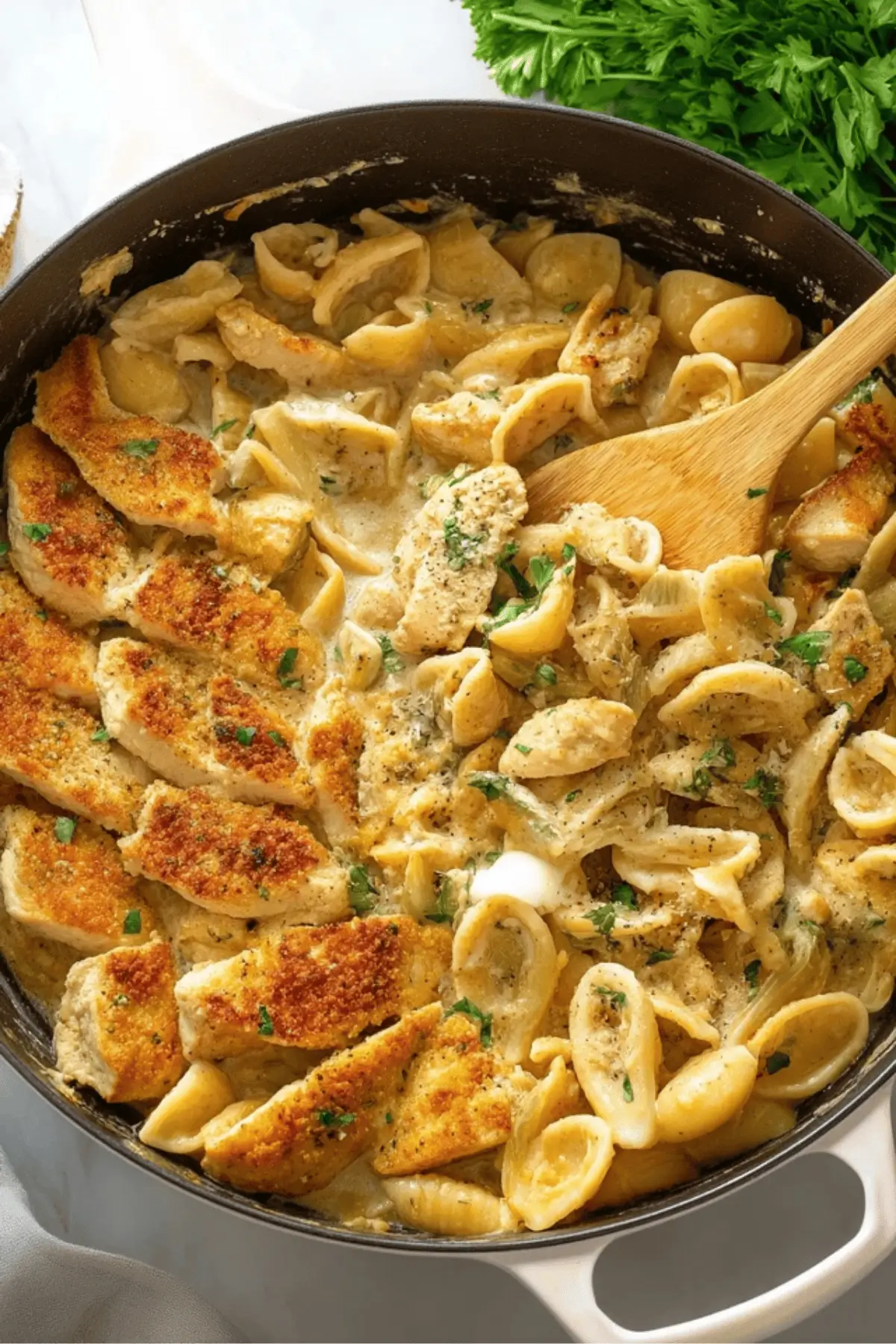 Creamy Chicken Pasta Creamy Chicken Pasta