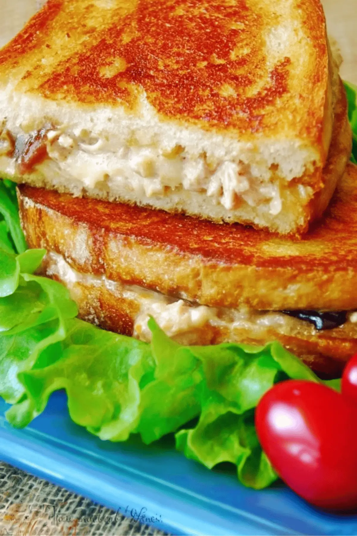 Tuna Melt Sandwich Tuna Melt Sandwich