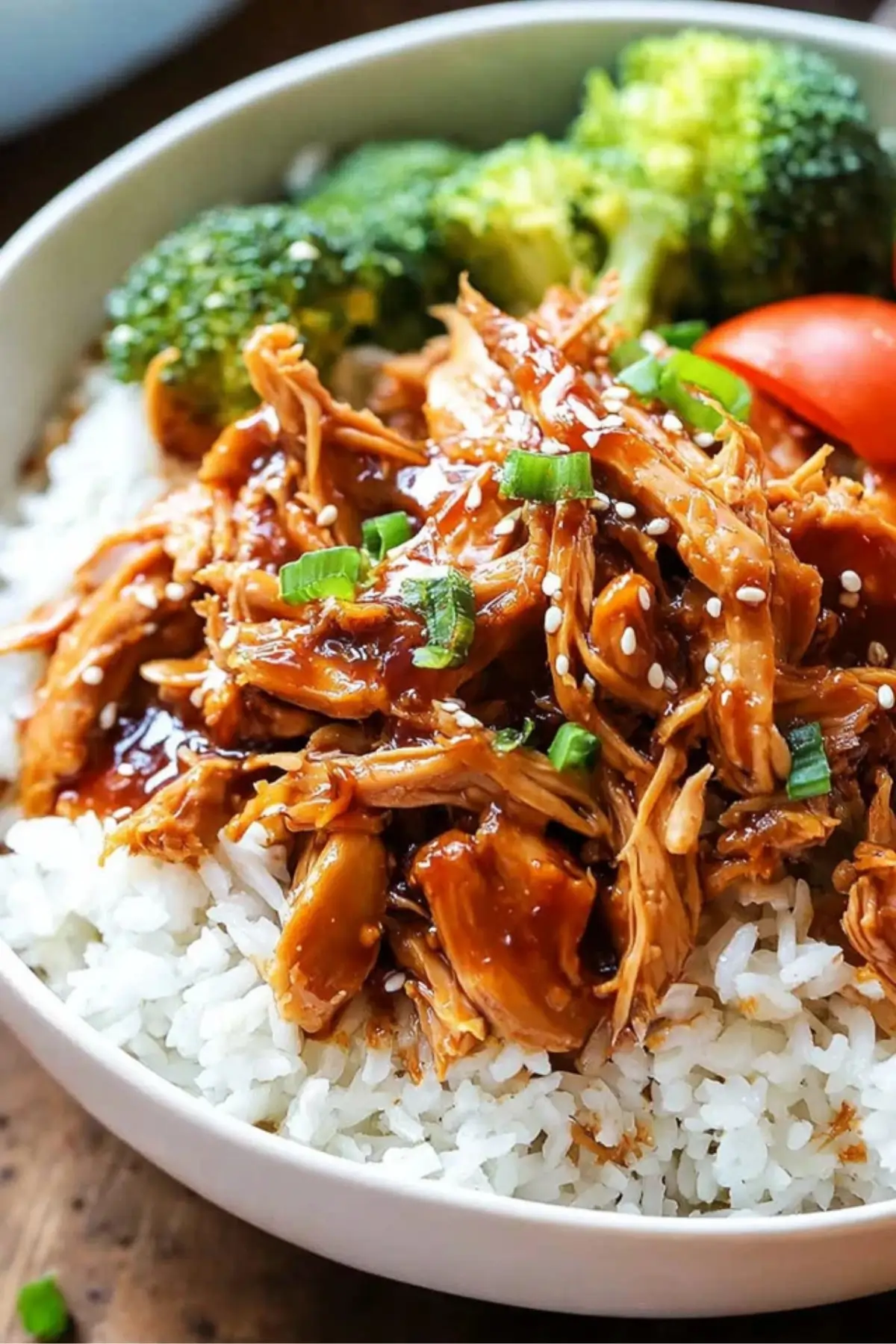 Slow Cooker Teriyaki Chicken Slow Cooker Teriyaki Chicken
