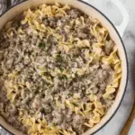 Hamburger Stroganoff