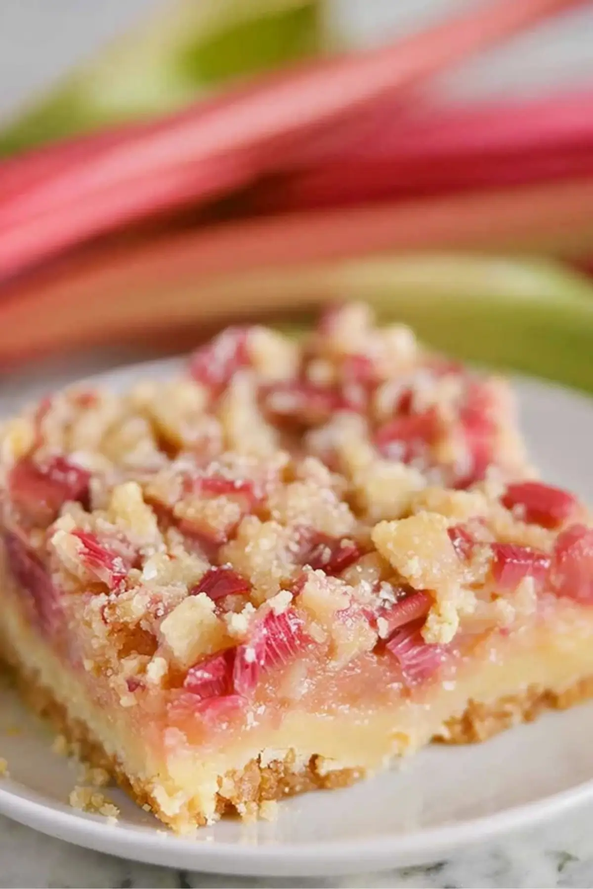 Rhubarb Dream Bars Rhubarb Dream Bars