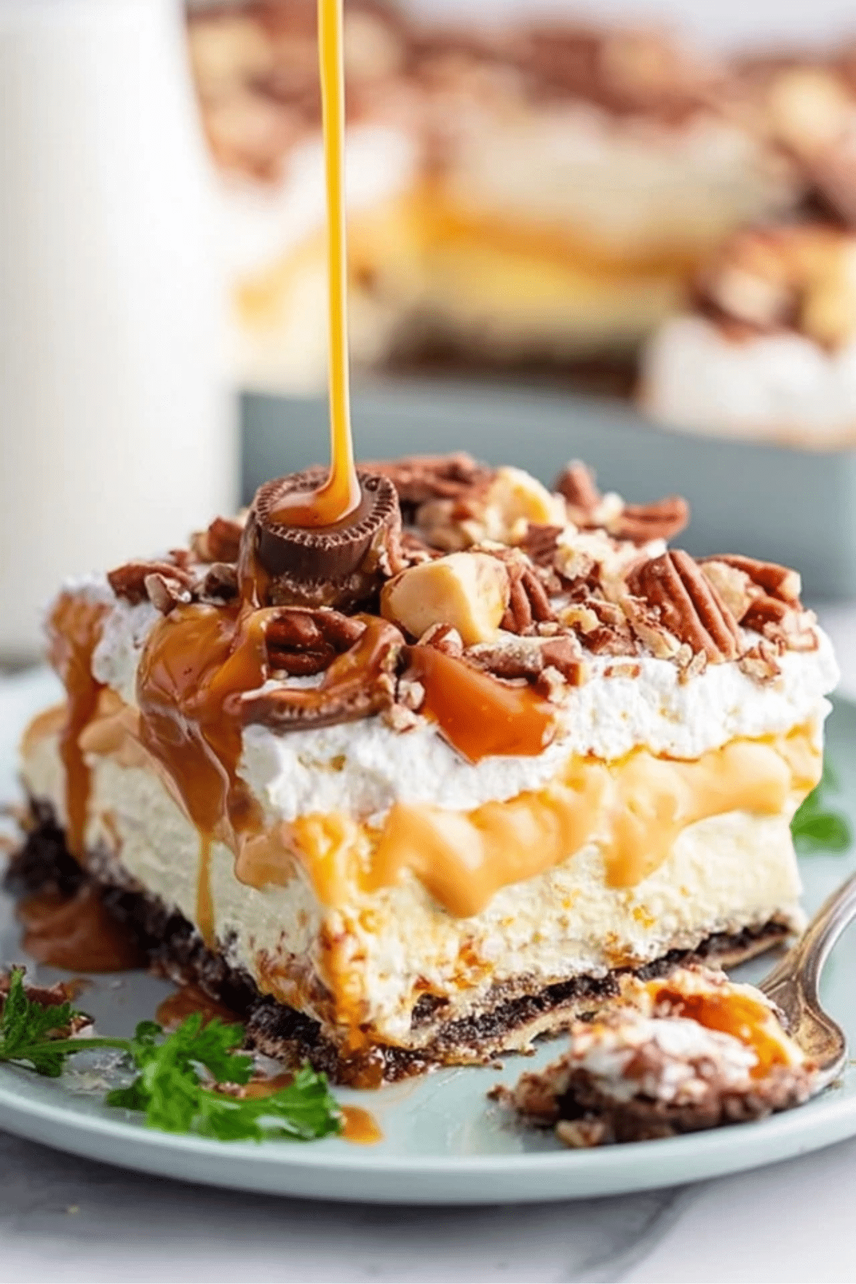 5 Layer Turtle Lasagna