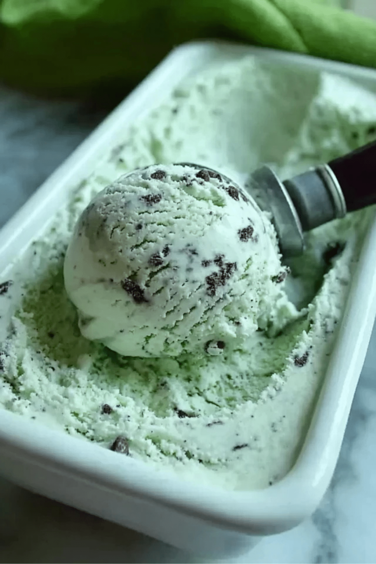 Mint Chocolate Chip Ice Cream