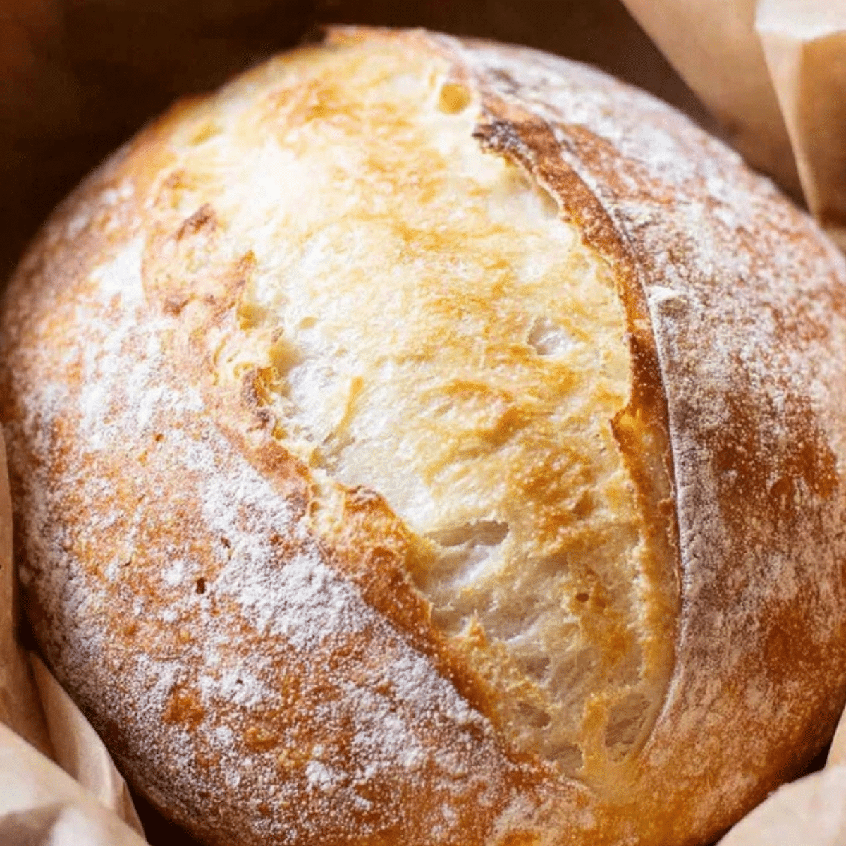 No Knead Sourdough BreadNo Knead Sourdough Bread(1)