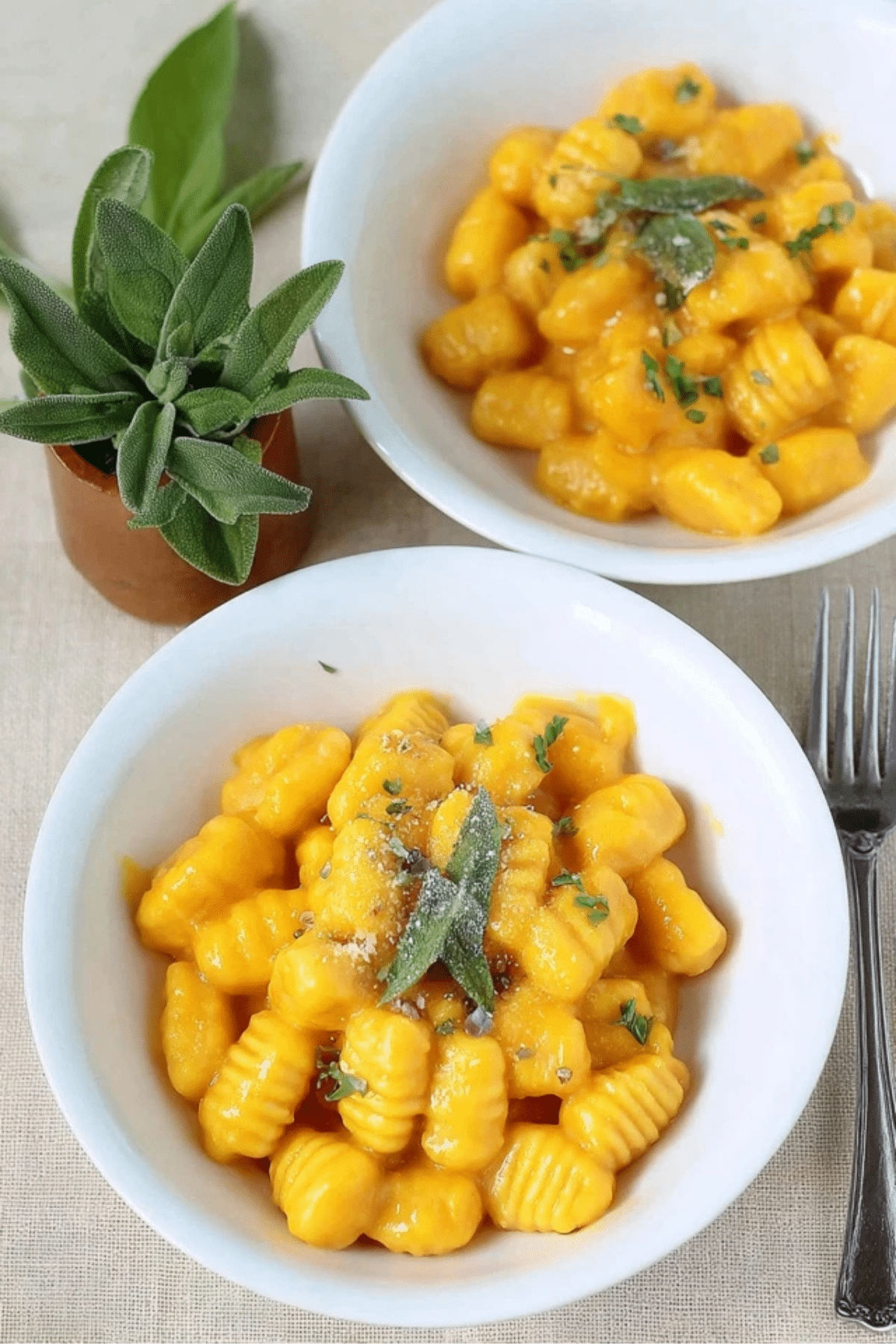 Pumpkin Gnocchi