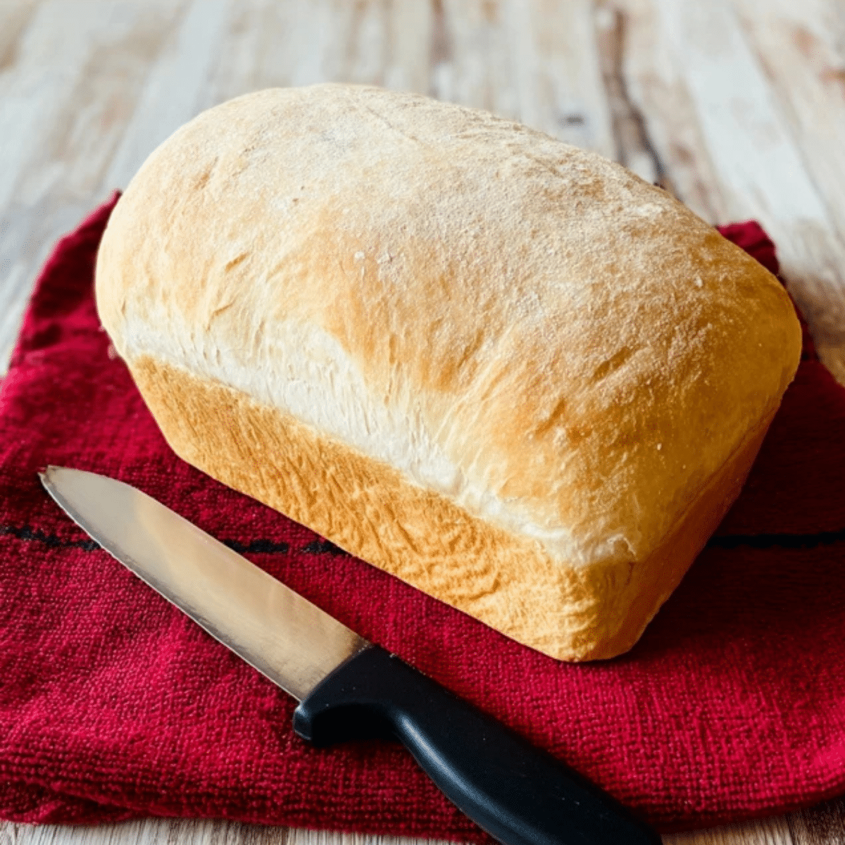 Soft Crust Sourdough Bread