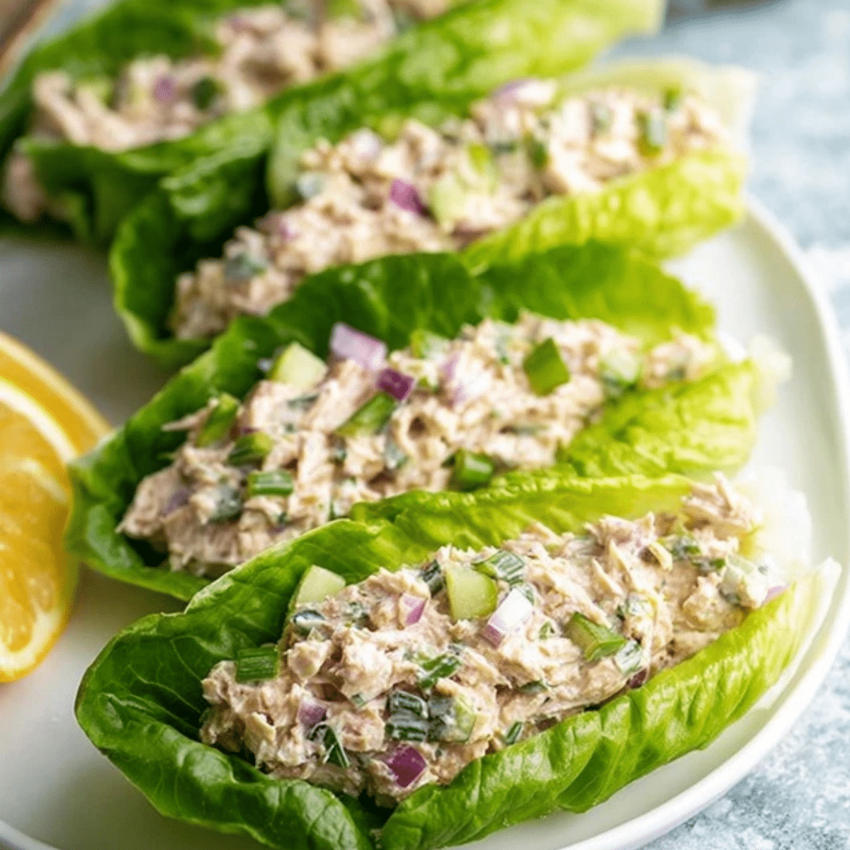 Tuna Salad Boats