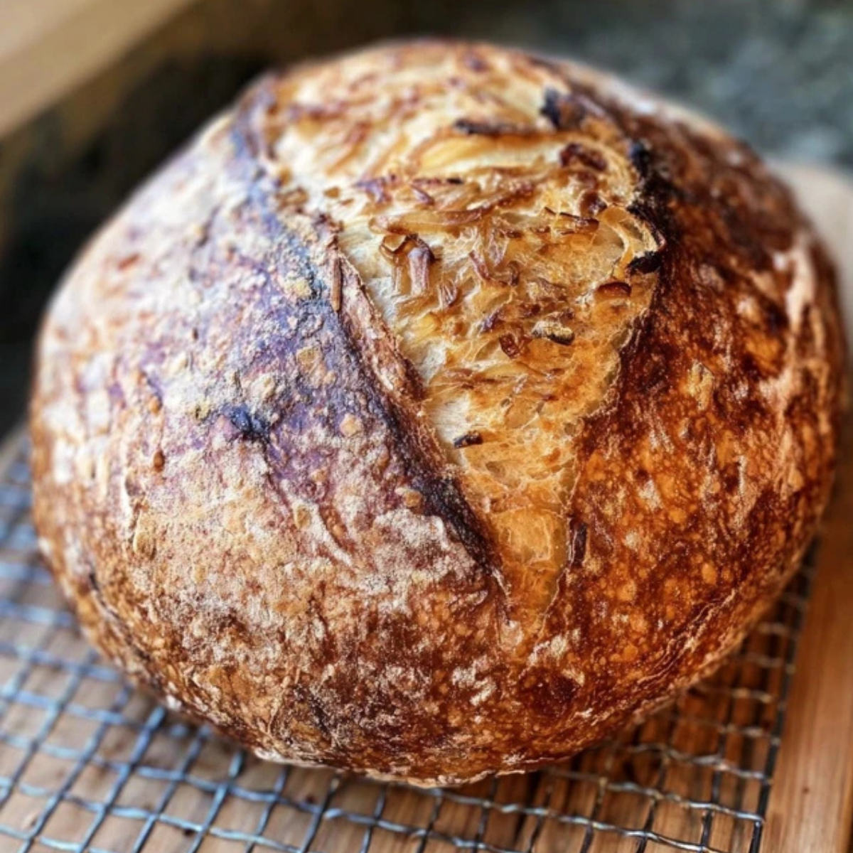 caramelized onion sourdough