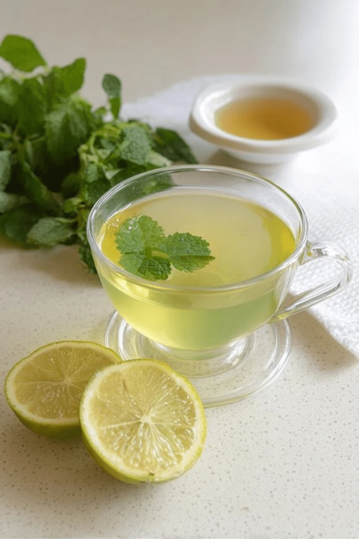 lemon balm for weight loss recipe