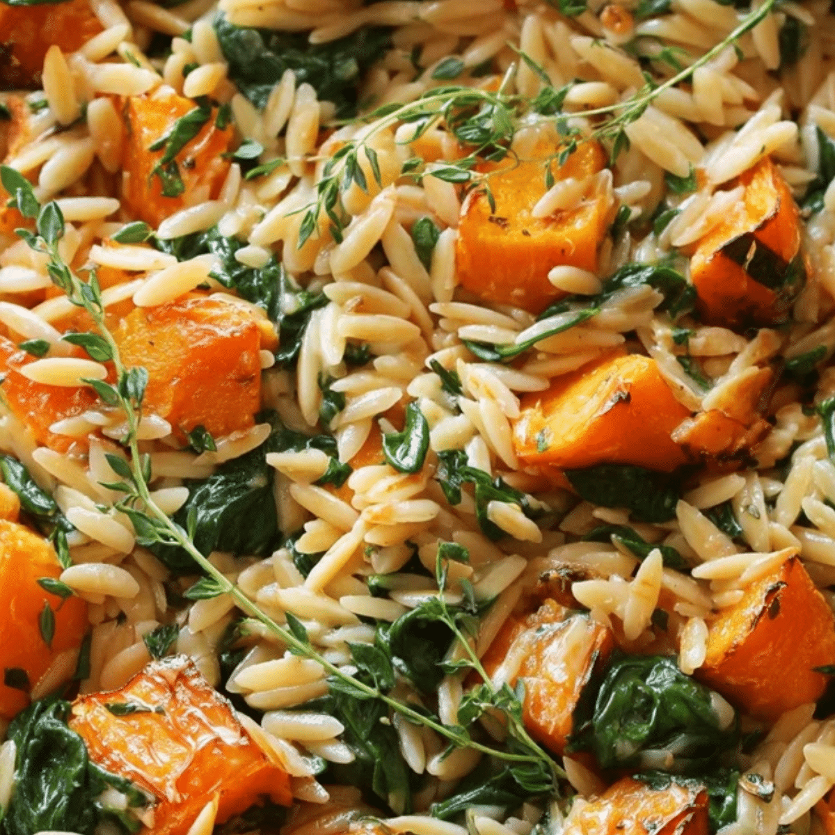 Creamy Orzo Pasta