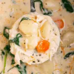 Crockpot Chicken Gnocchi Soup