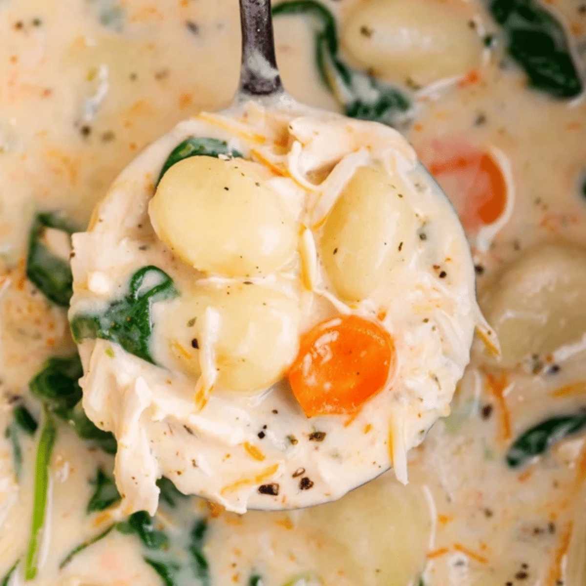 Crockpot Chicken Gnocchi Soup