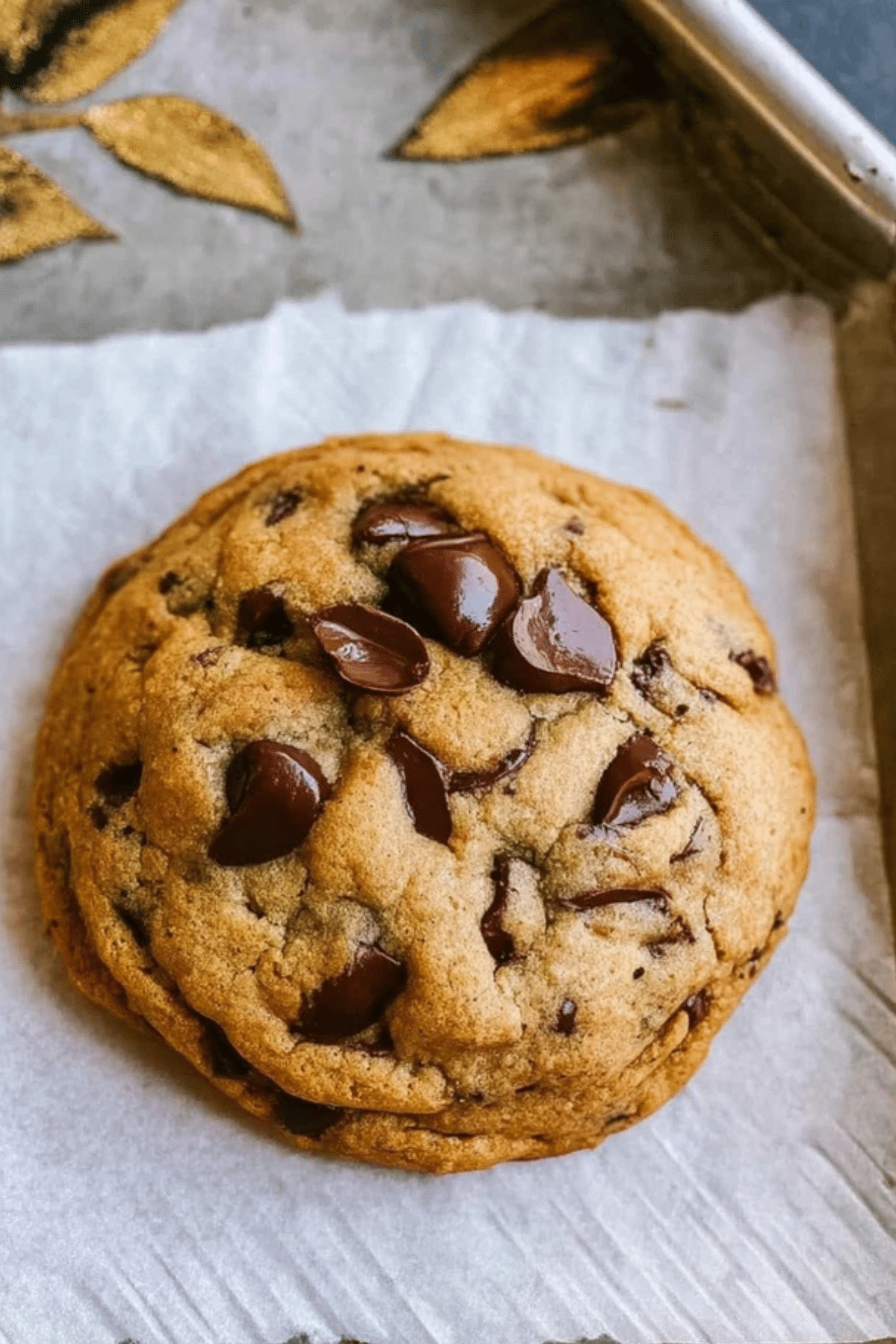 Fall Chocolate Chip Spiced Cookie