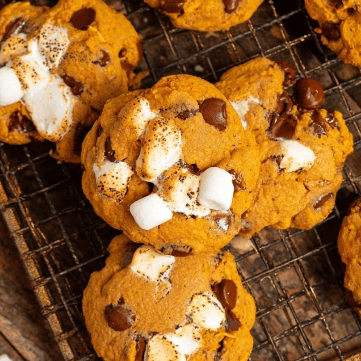 Pumpkin S’mores Cookies