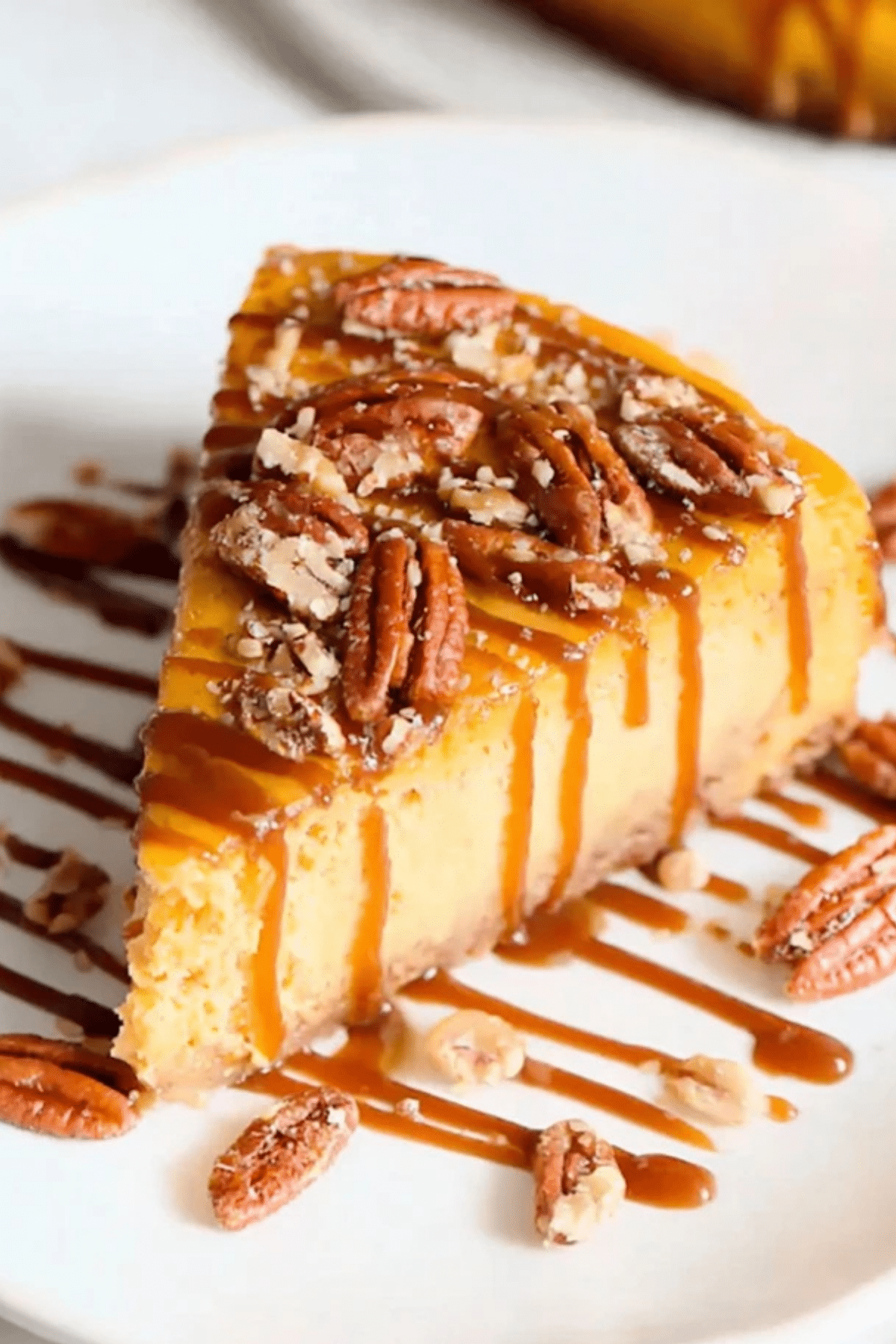 Turtle Pumpkin Cheesecake