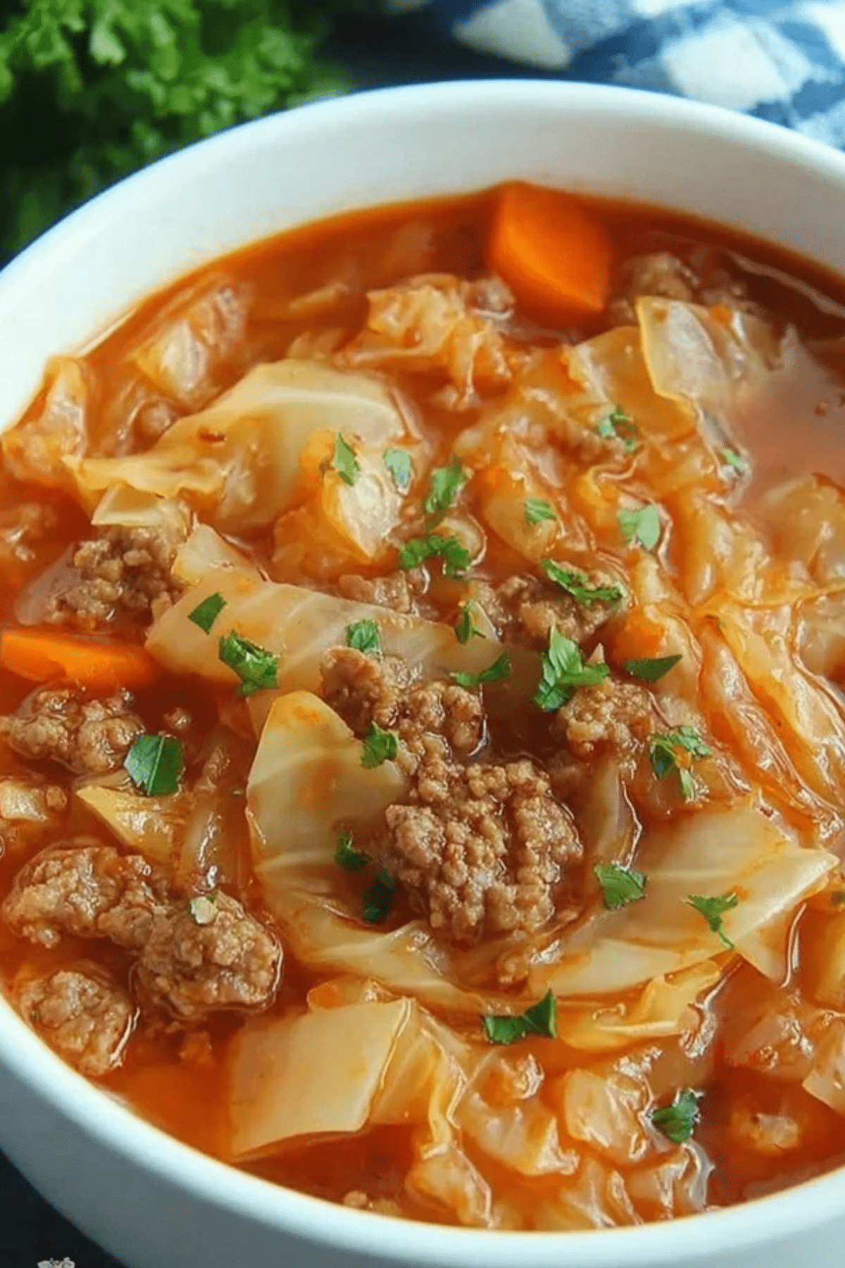 Cabbage Roll Soup