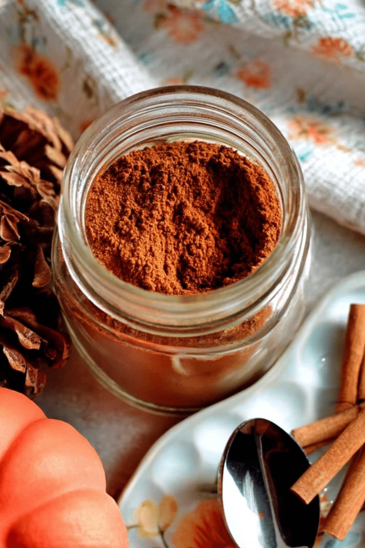 Pioneer Woman’s Homemade Pumpkin Spice