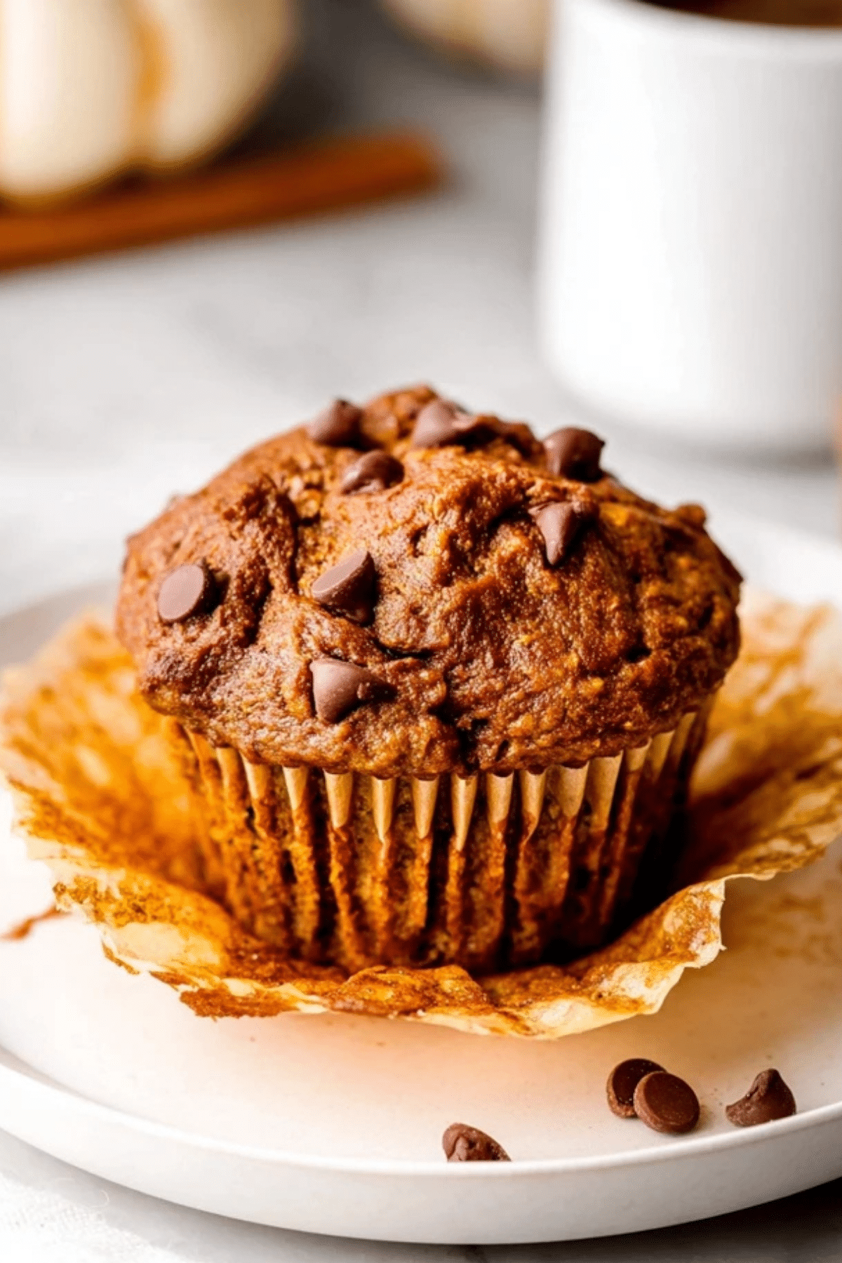 Pumpkin Protein Muffins