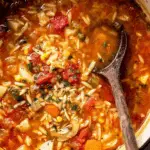 Vegetable Orzo Soup