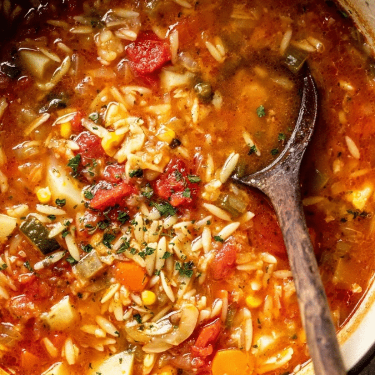 Vegetable Orzo Soup
