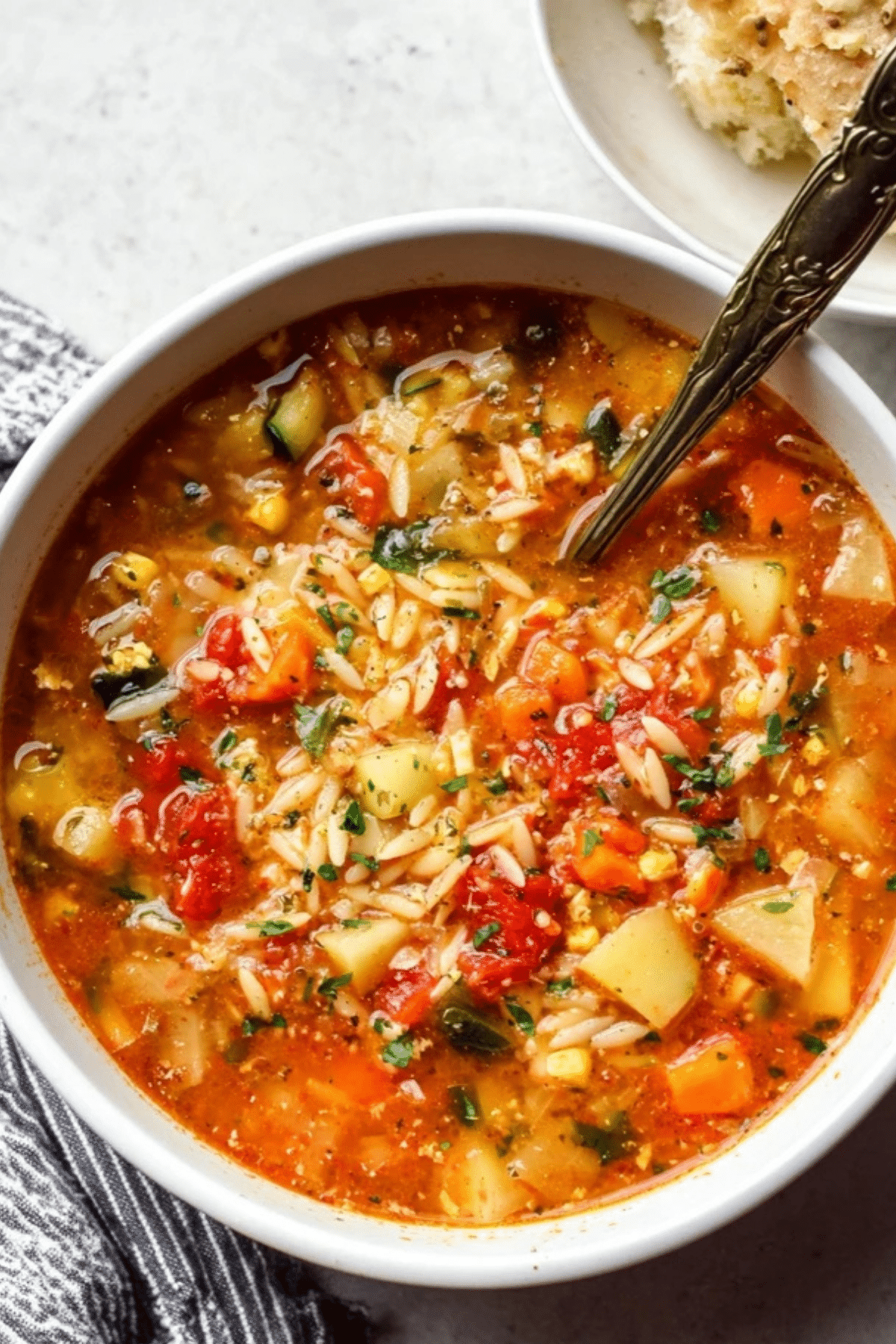 Vegetable Orzo Soup