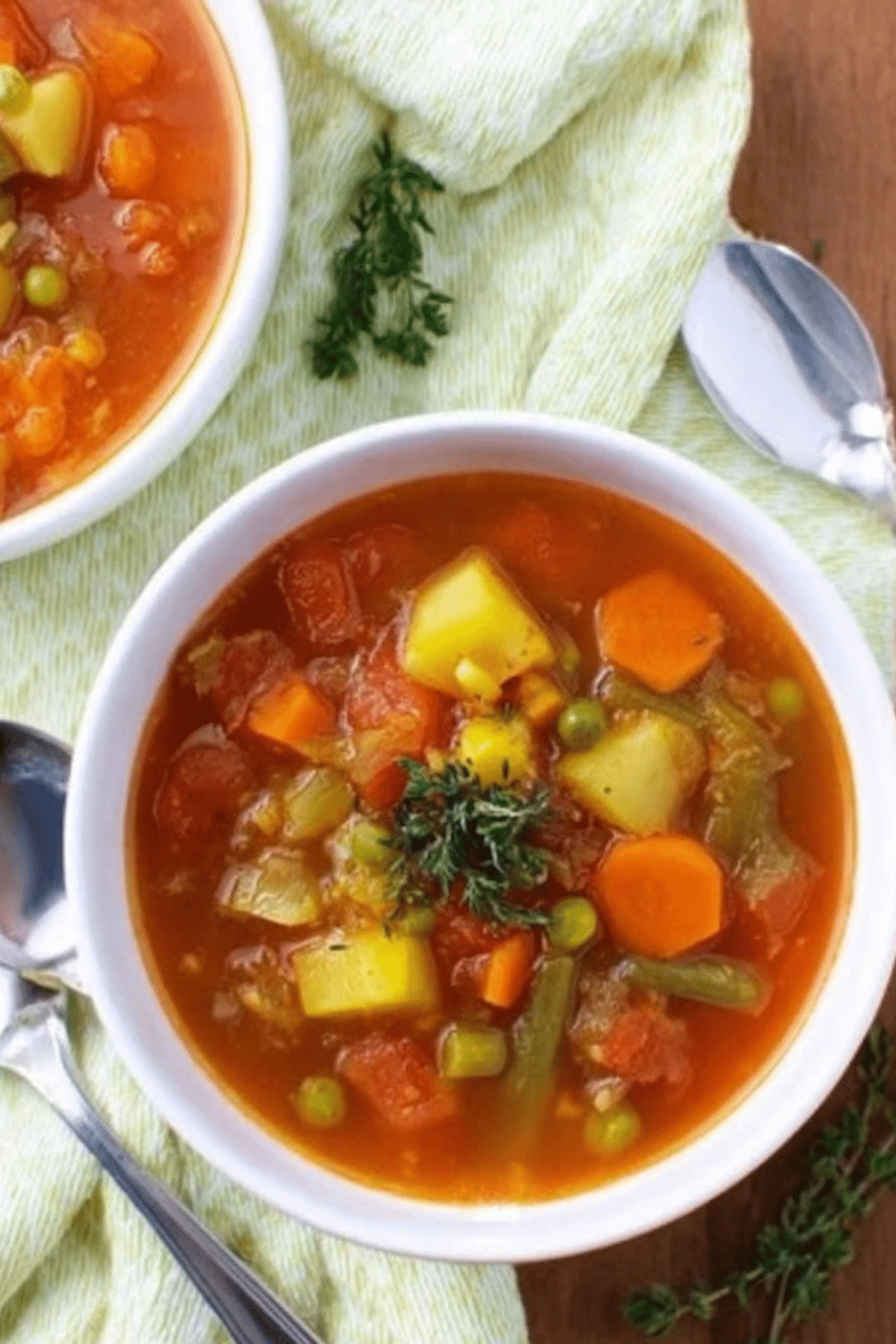 Vegetable Soup