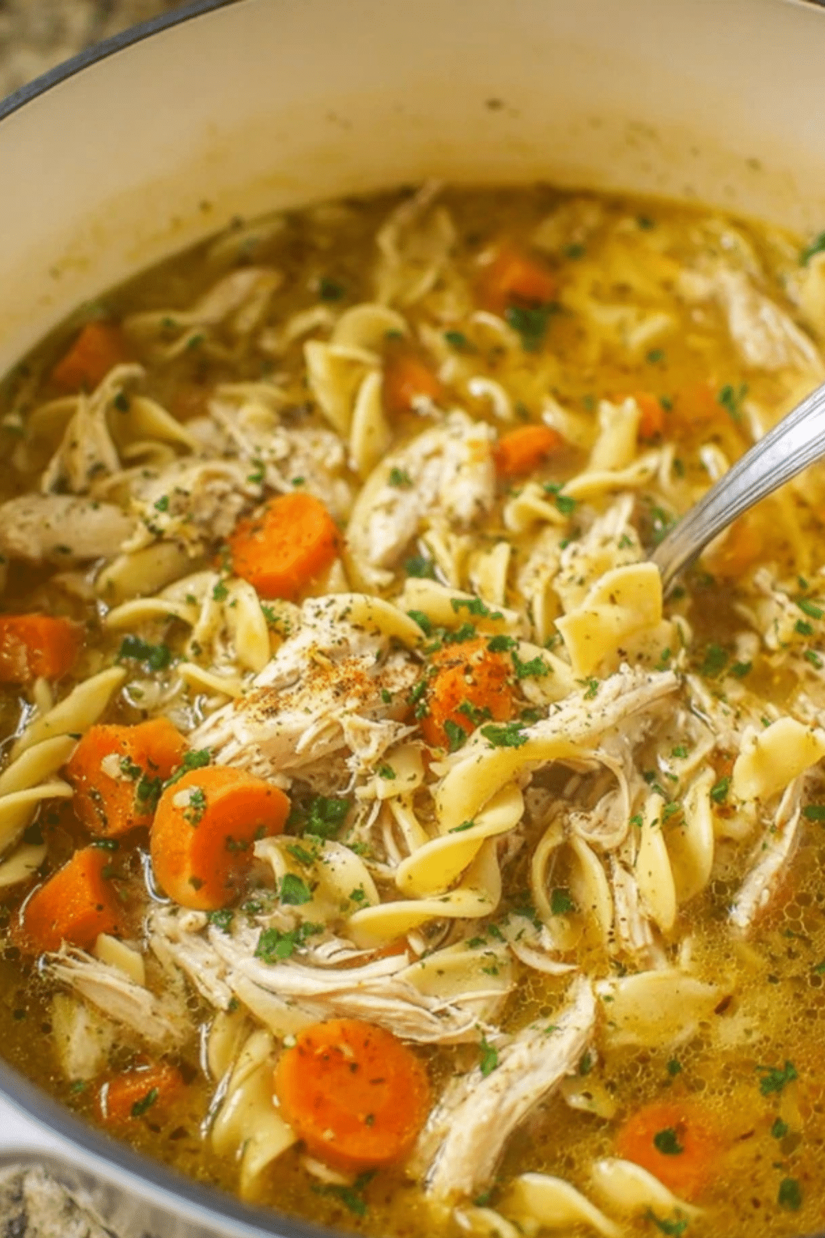 Chicken Noodle Soup with Egg Noodles