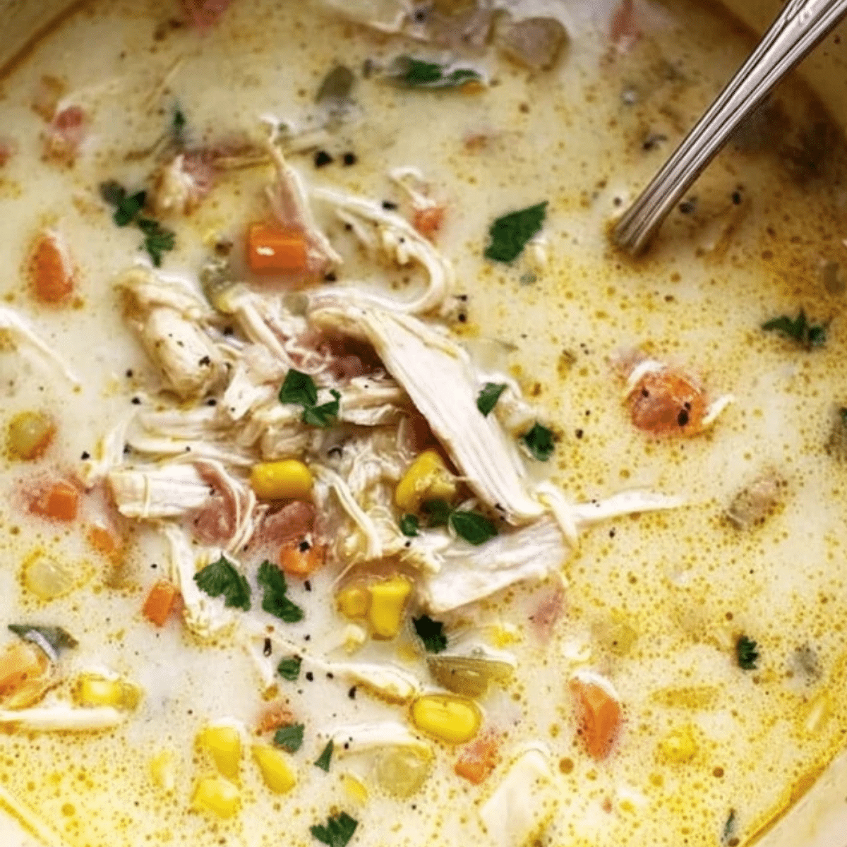Creamy Chicken Vegetable Soup