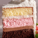Neapolitan Layer Cake