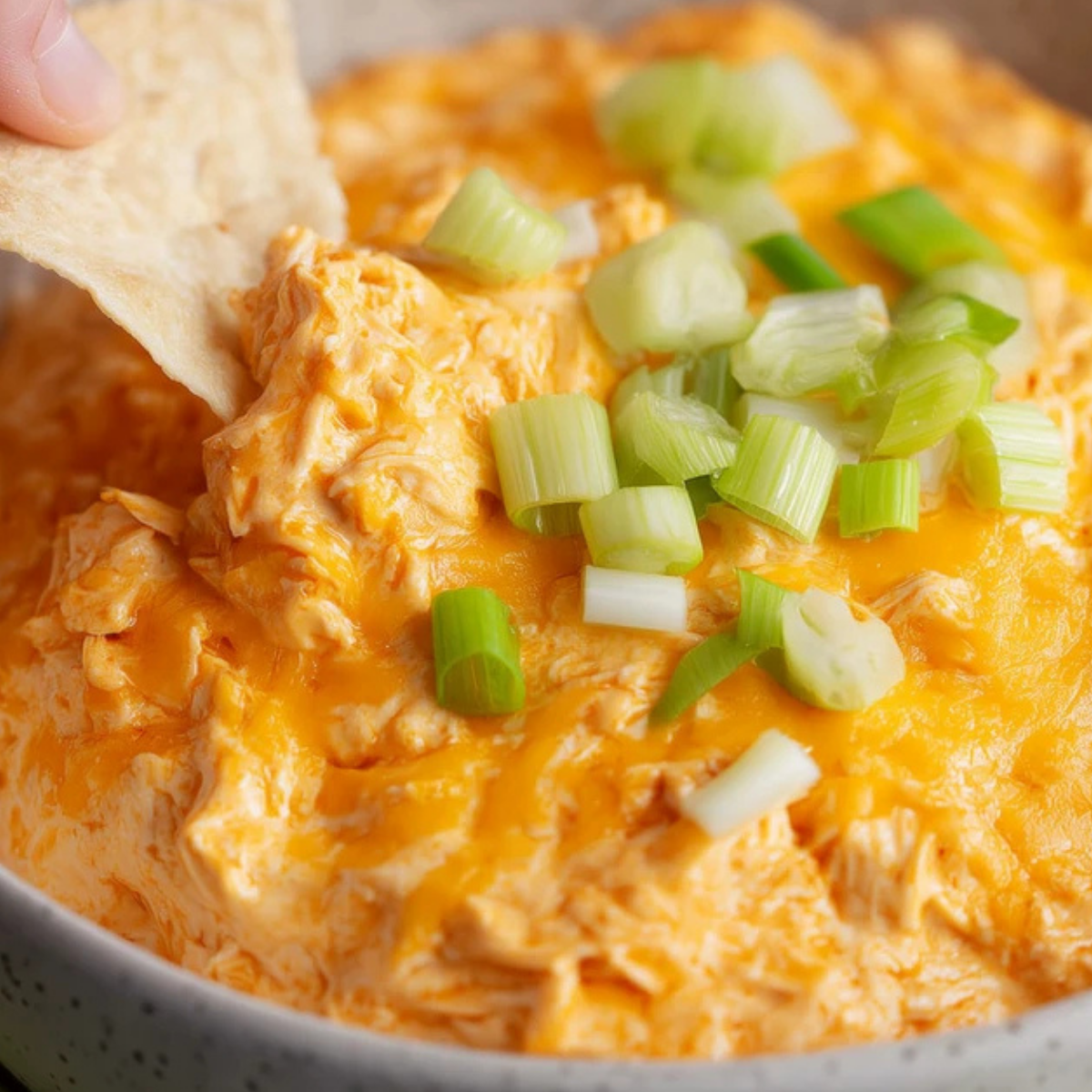 Buffalo Chicken Dip in a Crock Pot