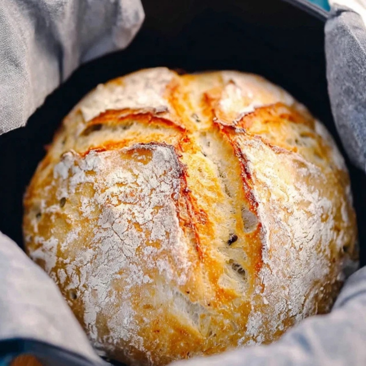 Dutch Oven No Knead Bread
