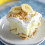 NO BAKE BANANA PUDDING DESSERT