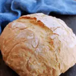 Rustic Italian Crusty Bread