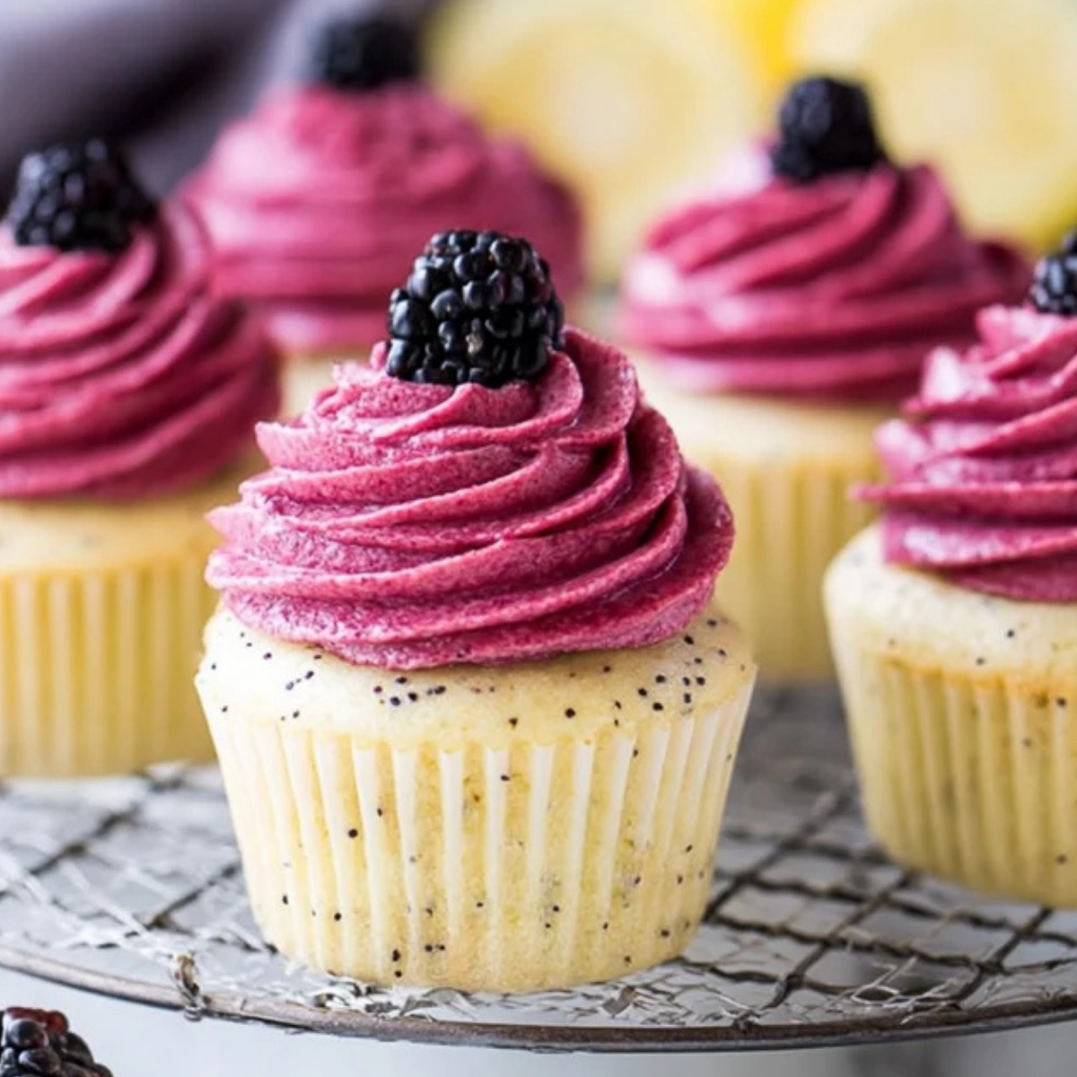 Lemon Poppy Seed Cupcakes with Blackberry Frosting
