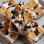 S'mores Bars