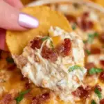Warm Crack Chicken Dip