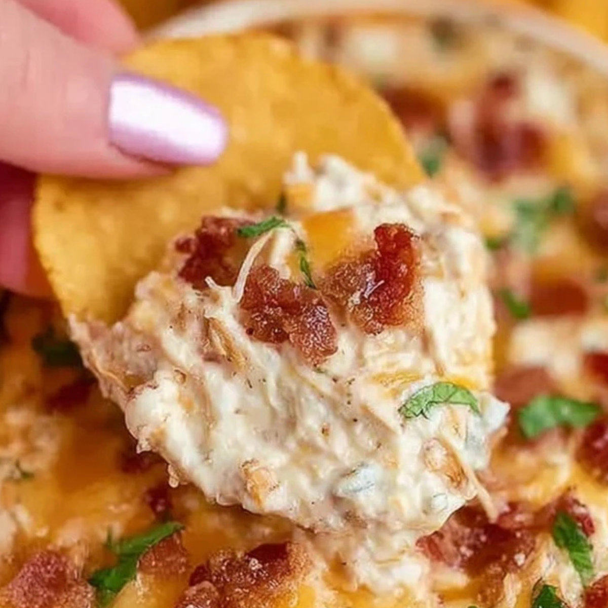 Warm Crack Chicken Dip