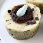Bird's Nest Mini Oreo Cheesecakes