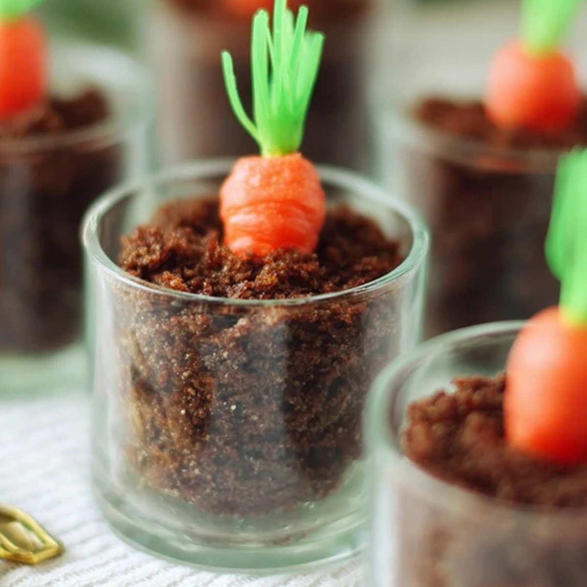 Brownie Carrot Patch