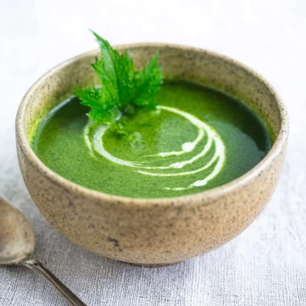 Nettle Soup