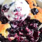 Blueberry Cobbler