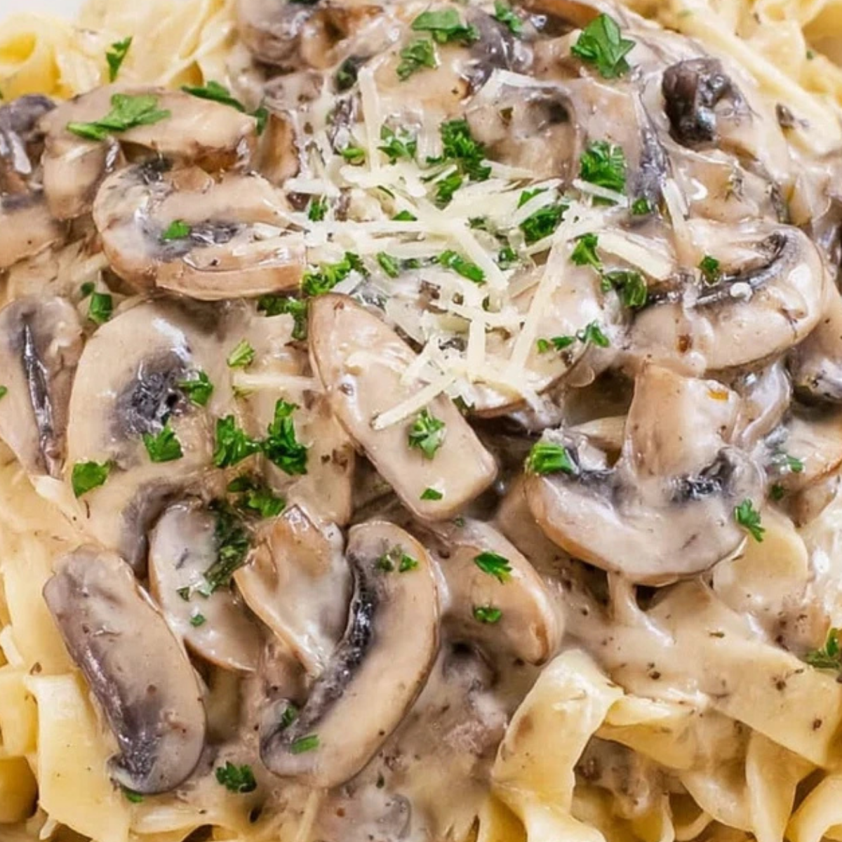 Mushroom Alfredo