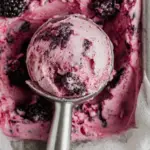 No Churn Mulberry Ice Cream