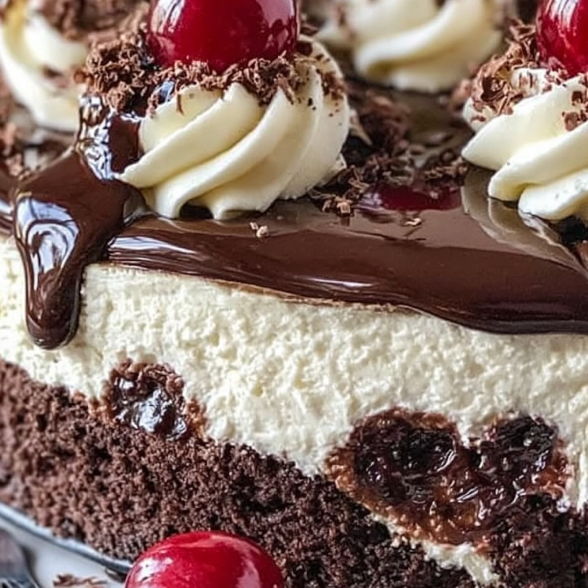 Black Forest Cheesecake