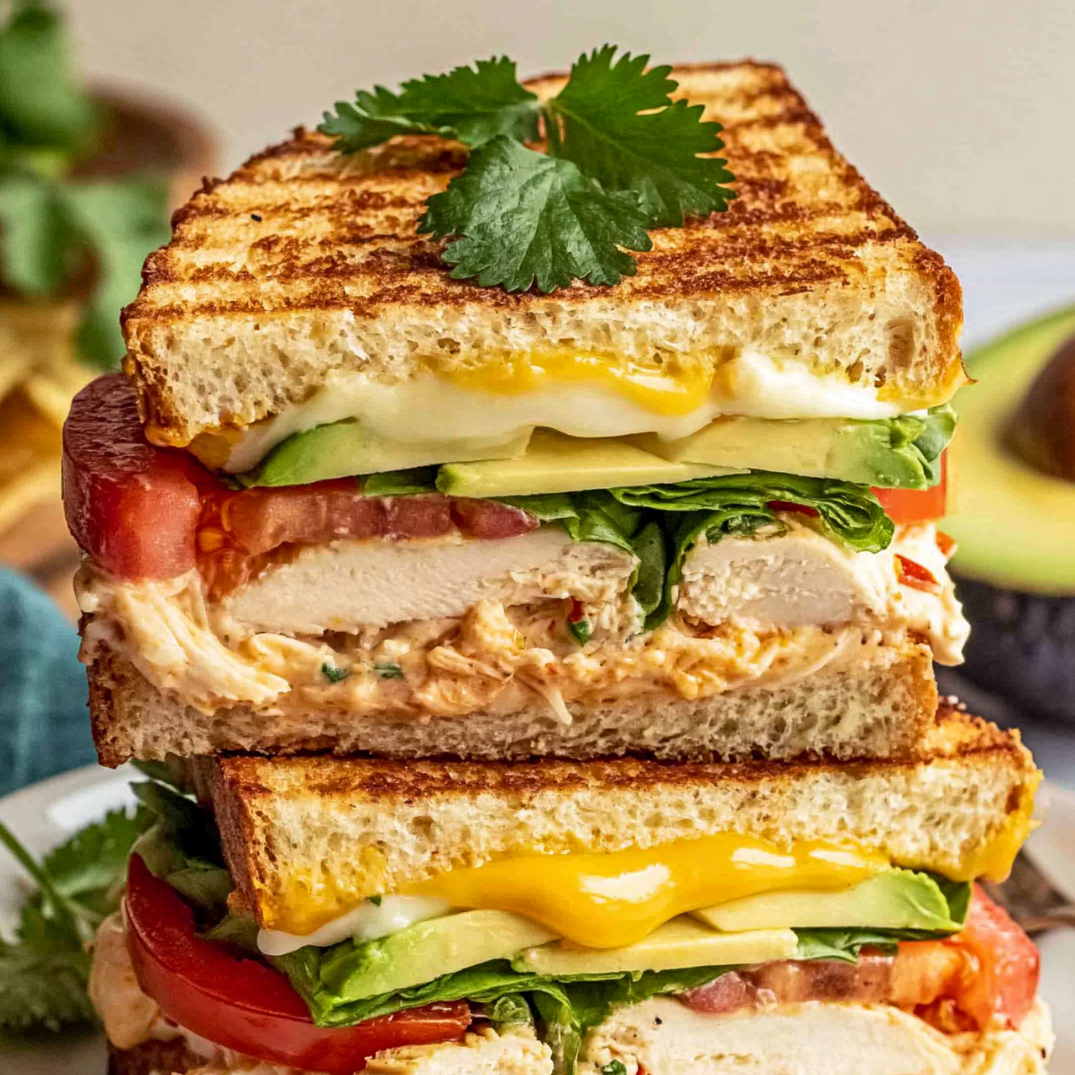 Chipotle Chicken Avocado Melt