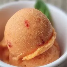 Stone Fruit Sorbet