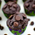 Double Chocolate Zucchini Muffins