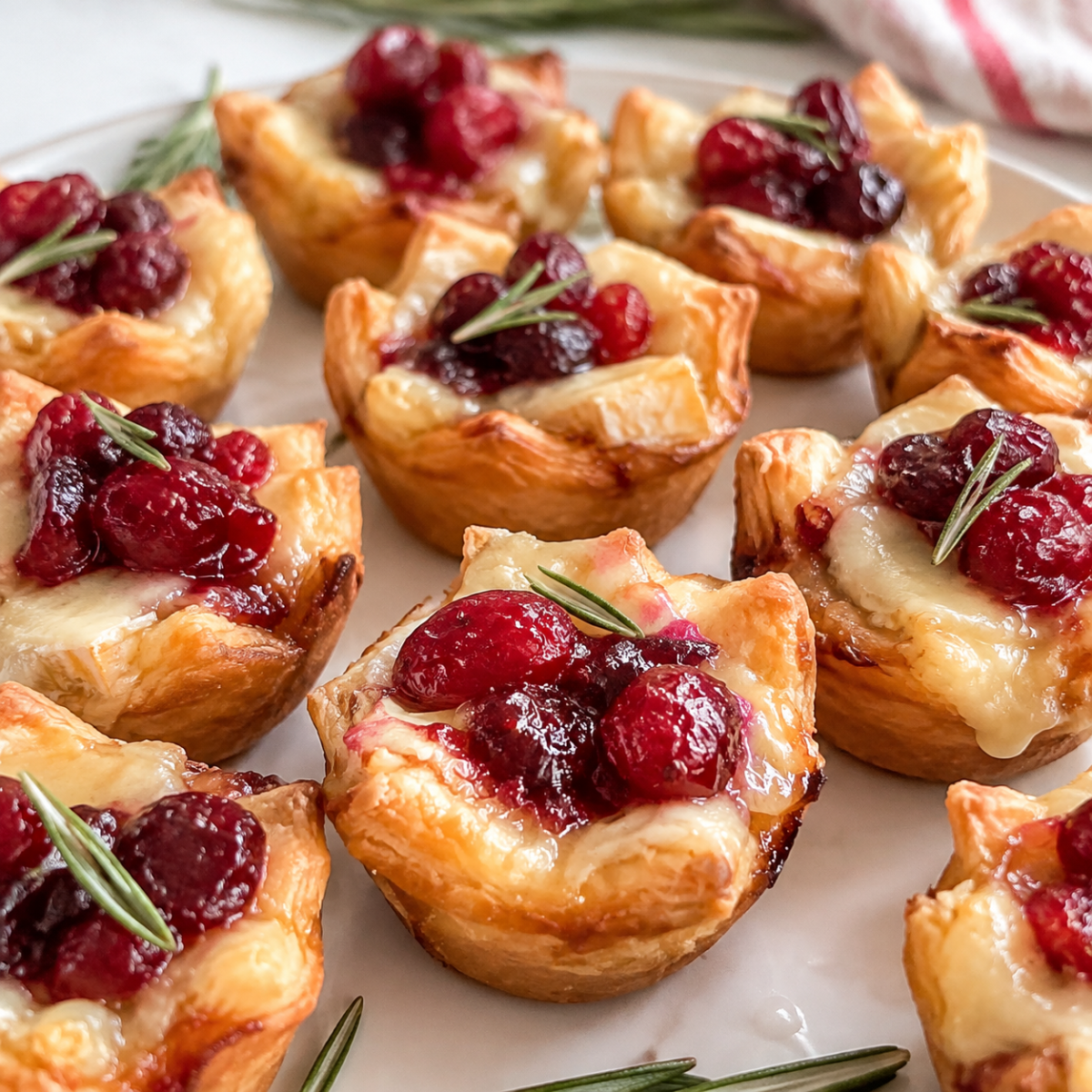 Cranberry Brie Bites